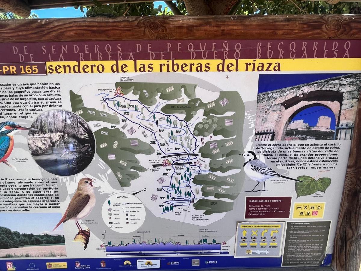 Casa Marite Vivienda De Uso Turistico Villa Campillo de Aranda Kültér fotó